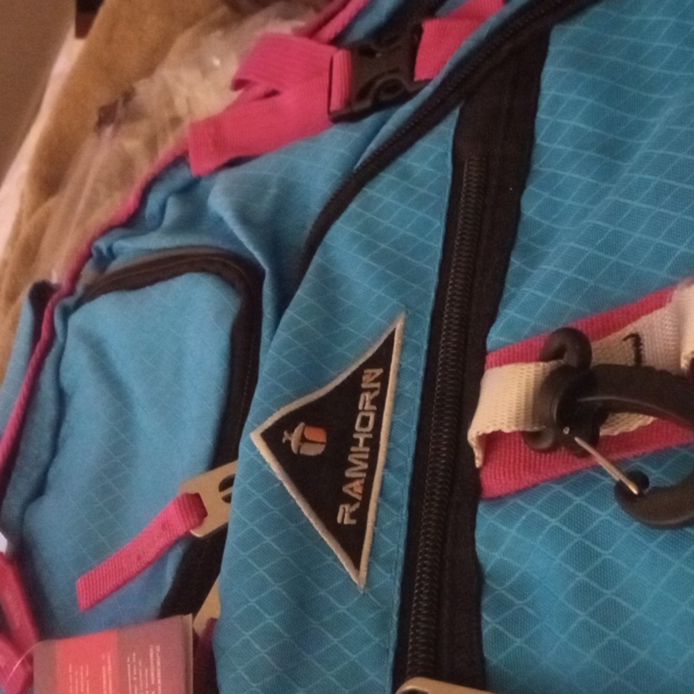Back pack - Picture 3 of 5